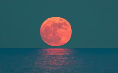 石油美元的黄昏：全球经济秩序的深层变革