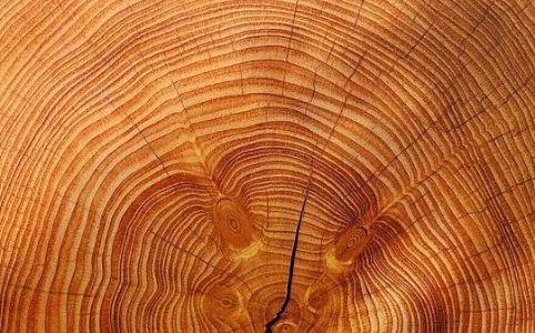 伊朗冲突引发全球供应链危机：能源冲击与经济重组的深层影响