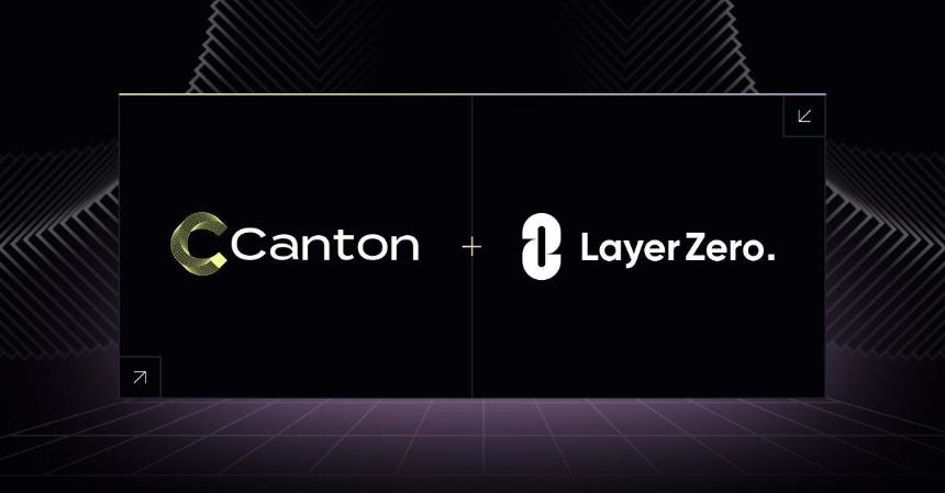 LayerZero 深度分析:机构与巨鲸低位吸筹 等待「费用开关」引爆重估