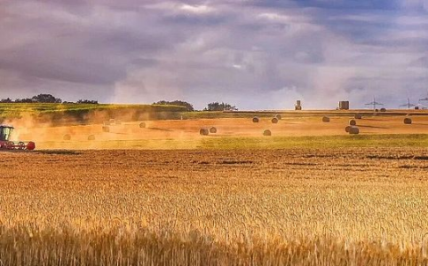 美伊冲突如何通过能源与化肥市场动荡引发全球粮食危机？