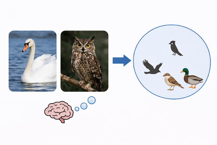 浙大研究团队提出新路径：把人脑理解世界的方式教给 AI