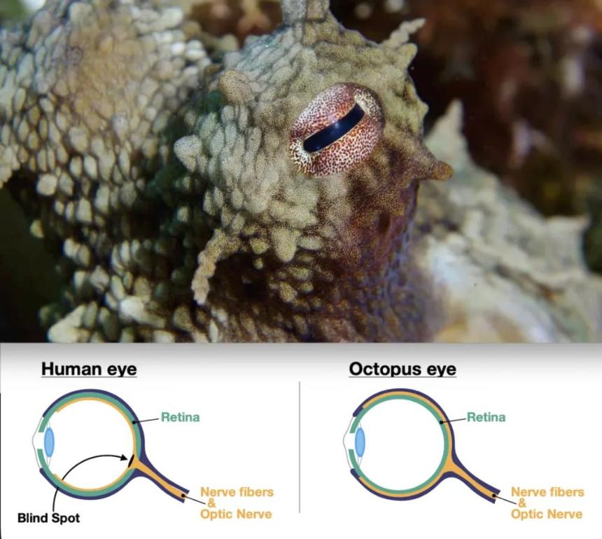 AI 为什么也需要睡觉？