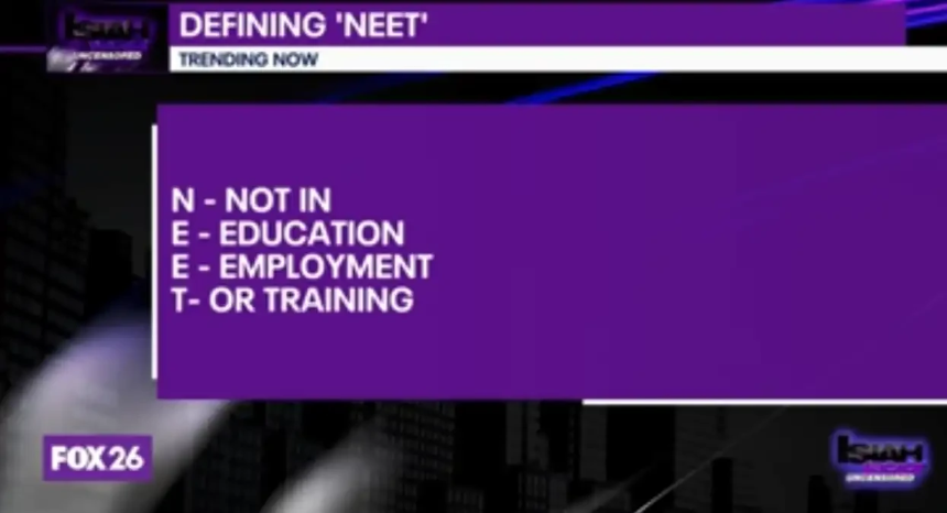 工作或将终结，NEET文化崛起：一枚meme币引领的社会思潮