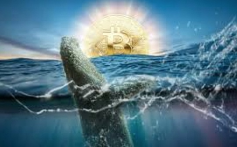 巨鲸增持与供应短缺：比特币能否突破盘整格局？