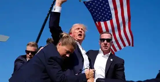 X平台新增meme主题功能，能否点燃新一轮meme季？