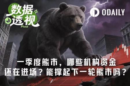 揭秘：谁在加密熊市中持续注入资金？