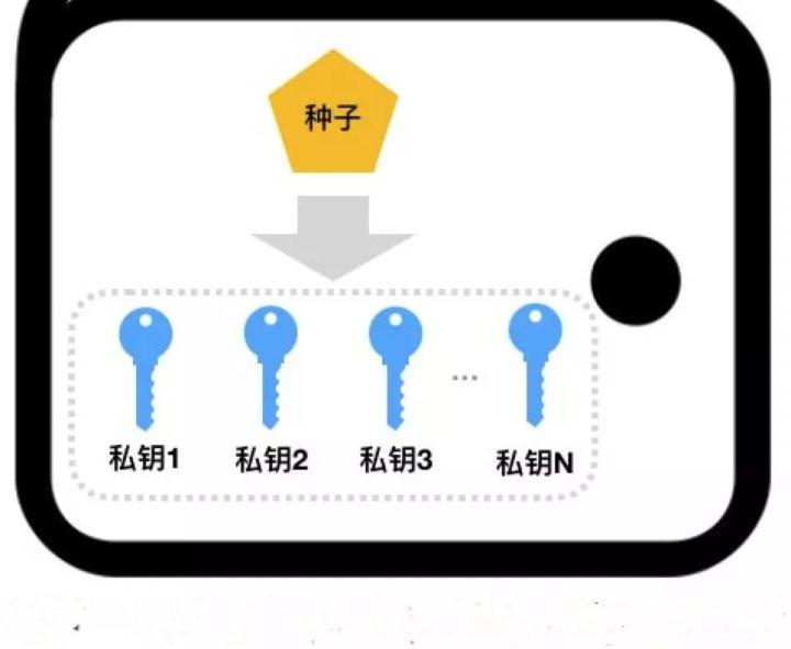 钱包的发展