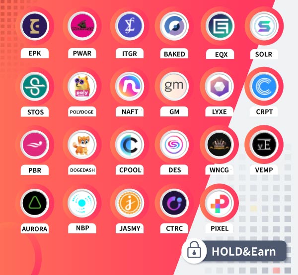 Gate.io Bi-Weekly Report (Nov 16-30)