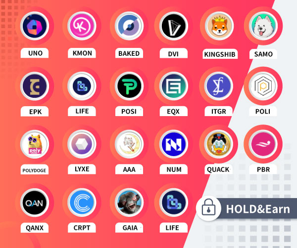 Gate.io Bi-Weekly Report (Dec 1-15)